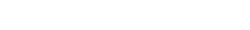 RAY VISION Logo